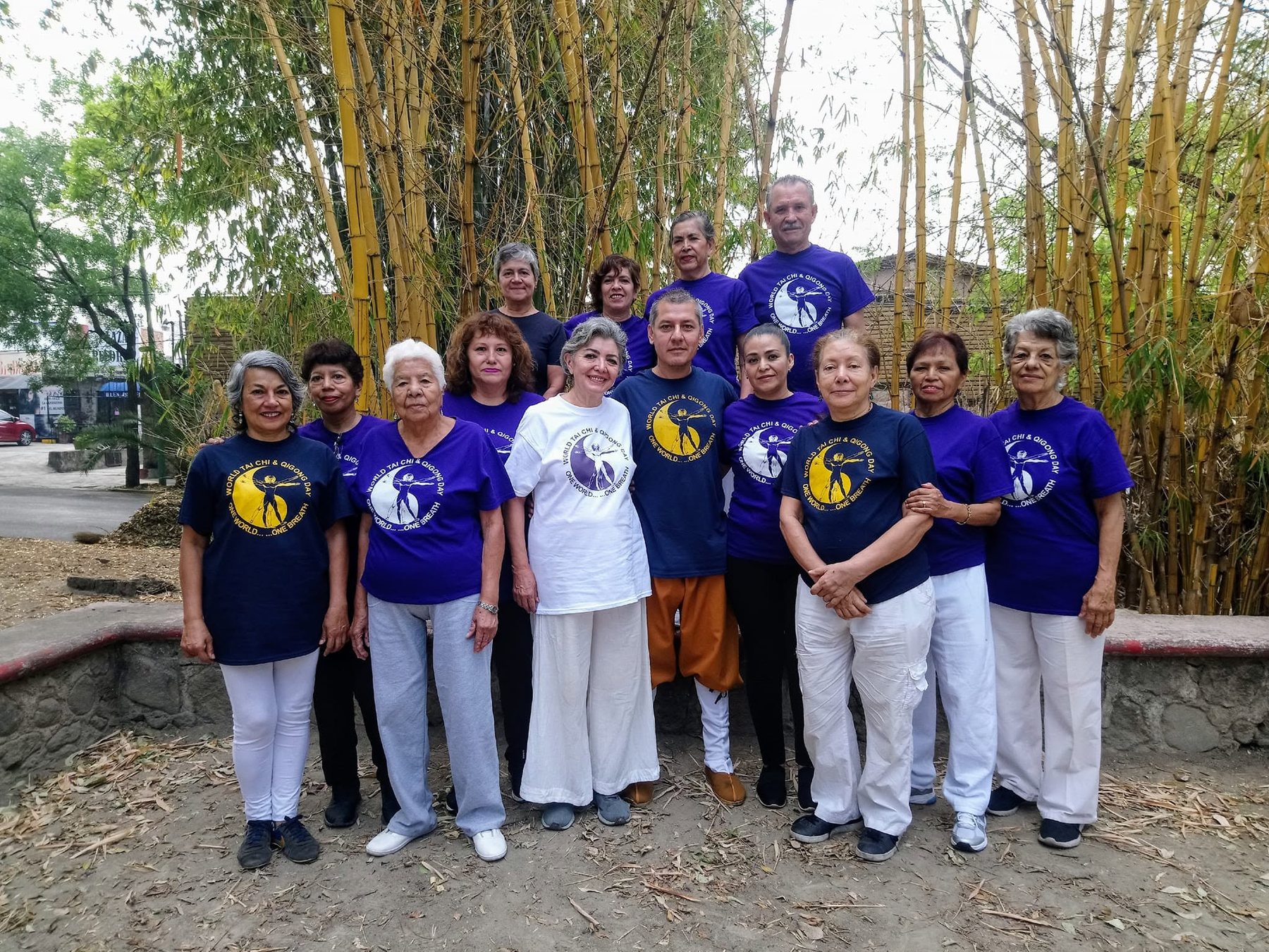 Grupo Tai Chi y Chi Kung para la salud